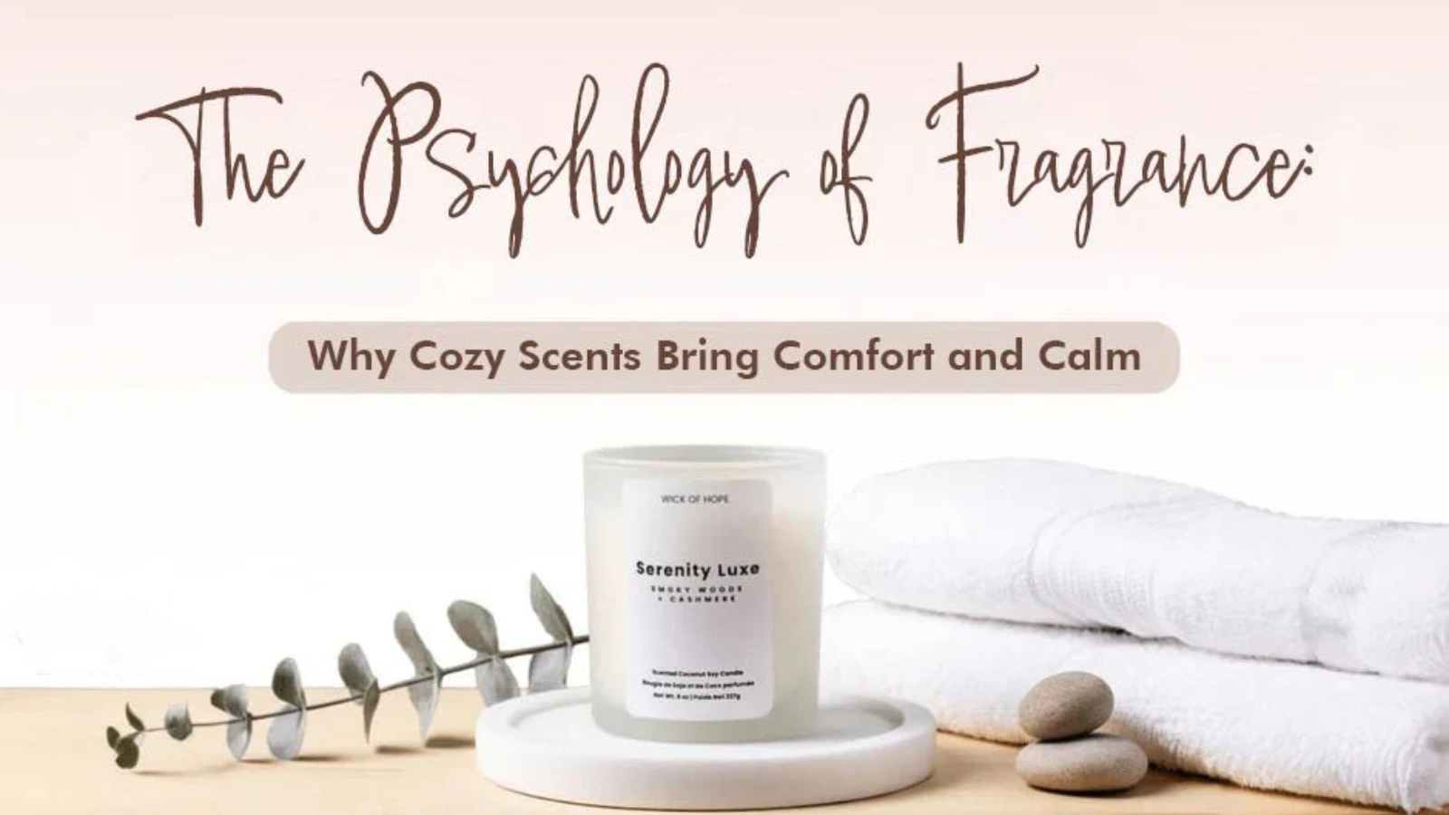 the-psychology-of-fragrance-why-cozy-scents-bring-comfort-and-calm-8127244